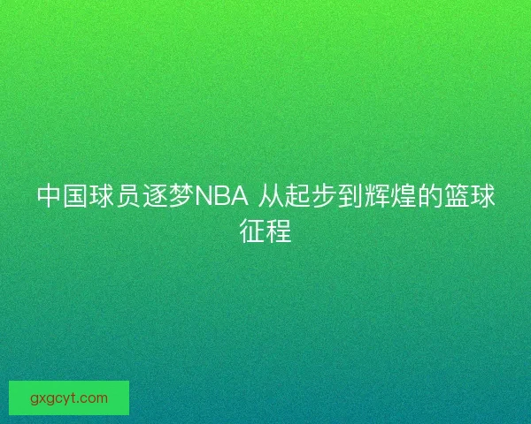 中国球员逐梦NBA 从起步到辉煌的篮球征程