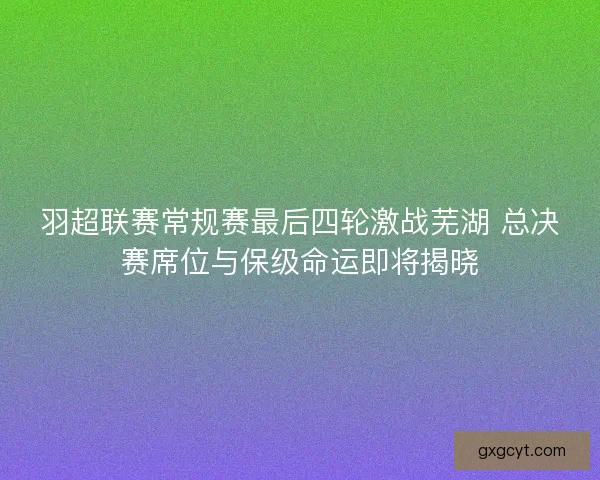 羽超联赛常规赛最后四轮激战芜湖 总决赛席位与保级命运即将揭晓