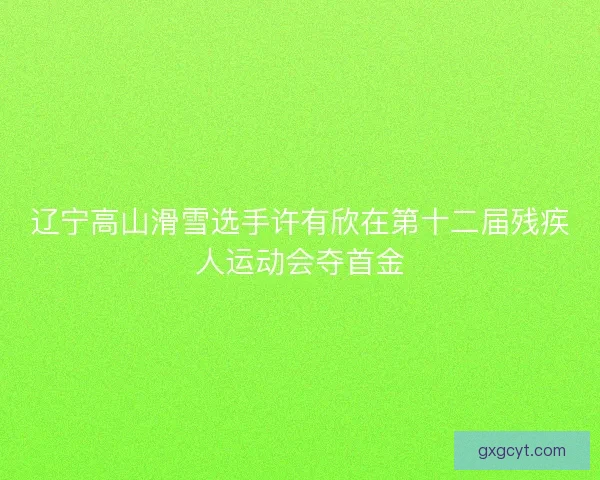 辽宁高山滑雪选手许有欣在第十二届残疾人运动会夺首金 辽宁高山滑雪选手许有欣在第十二届残疾人运动会夺首金