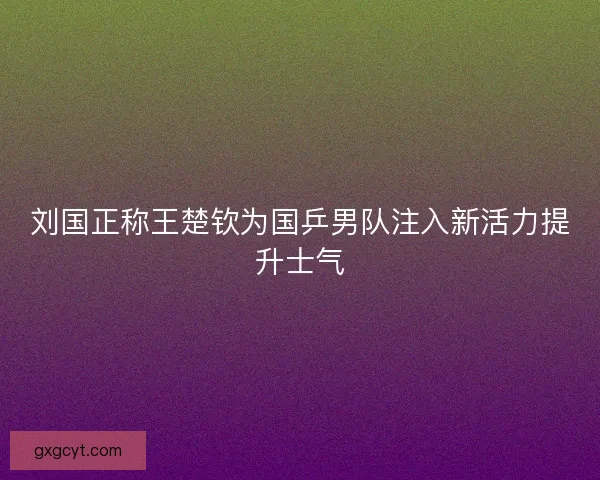 刘国正称王楚钦为国乒男队注入新活力提升士气