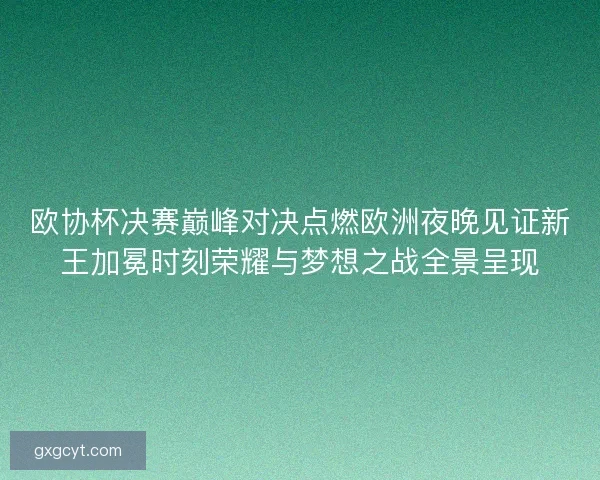 欧协杯决赛巅峰对决点燃欧洲夜晚见证新王加冕时刻荣耀与梦想之战全景呈现