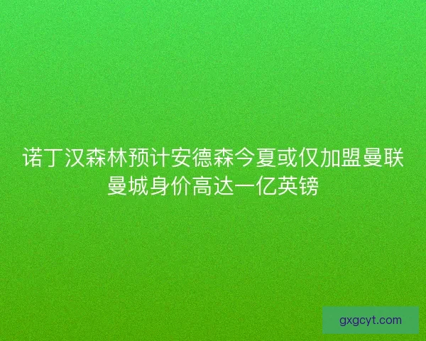 诺丁汉森林预计安德森今夏或仅加盟曼联曼城身价高达一亿英镑 诺丁汉森林预计安德森今夏或仅加盟曼联曼城身价高达一亿英镑